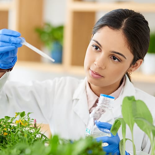 diploma-in-biotechnology